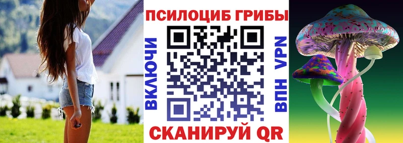 продажа наркотиков  Пласт  Псилоцибиновые грибы Psilocybine cubensis 